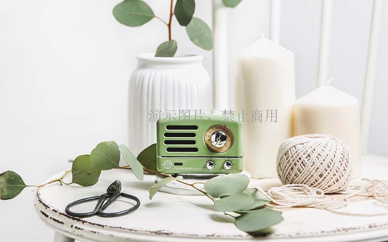 Smart speaker case